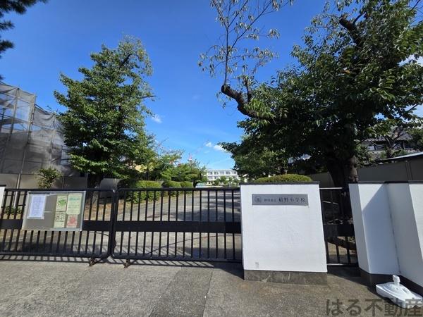 伊丹市昆陽池２丁目の土地(伊丹市立稲野小学校)