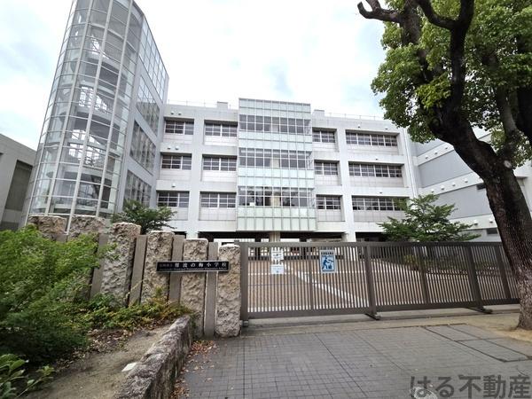 立花グリーンハイツ２号棟(尼崎市立難波の梅小学校)