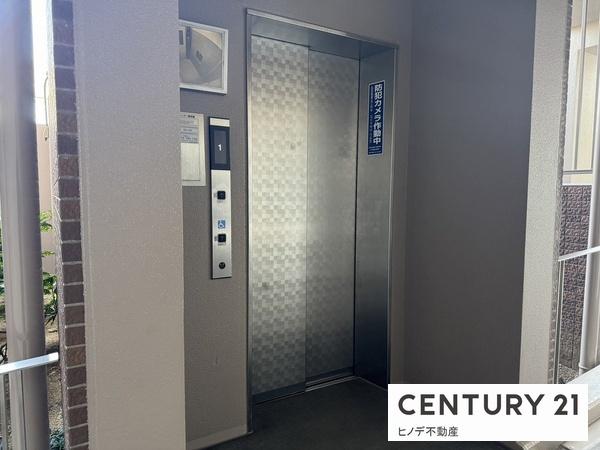 ライオンズ高石