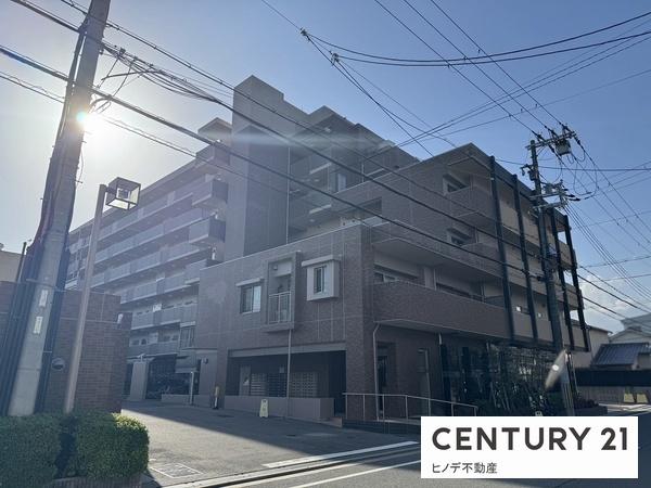 ライオンズ高石