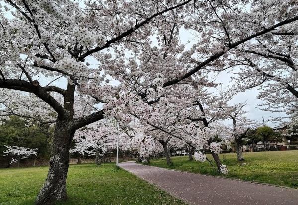 マスターズマンション光明池中楽坊(鴨谷公園)