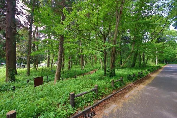 相模原市南区御園1丁目の土地(木もれびの森(東大沼地区))