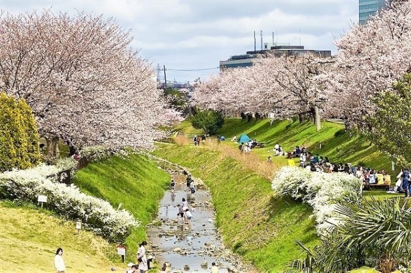 メイツ海老名(県立相模三川公園)