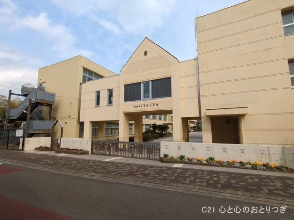 綾瀬市小園の土地(綾瀬市立早園小学校)