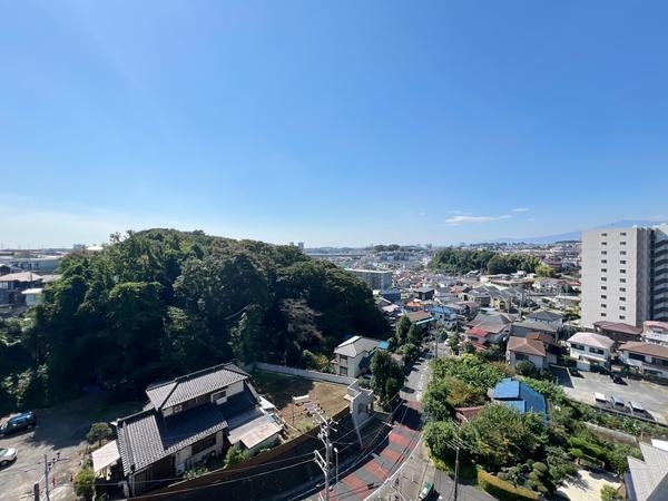コスモさがみ野