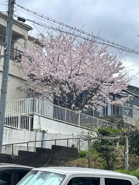 生駒市西松ケ丘の中古一戸建