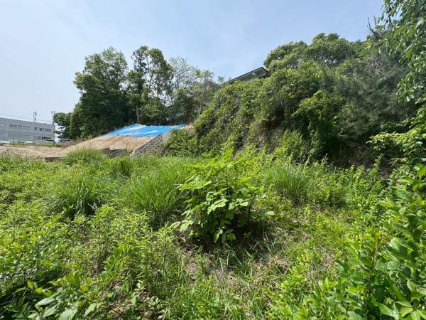 奈良市大倭町の土地