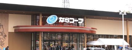 大和郡山市九条町の中古一戸建て(コープ七条)