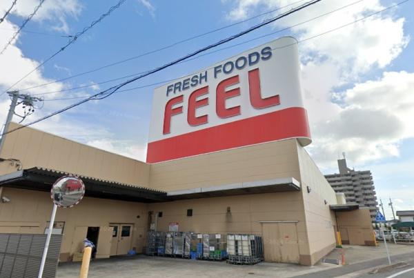 岡崎市大和町字川原の土地(フィール岡崎大和店)