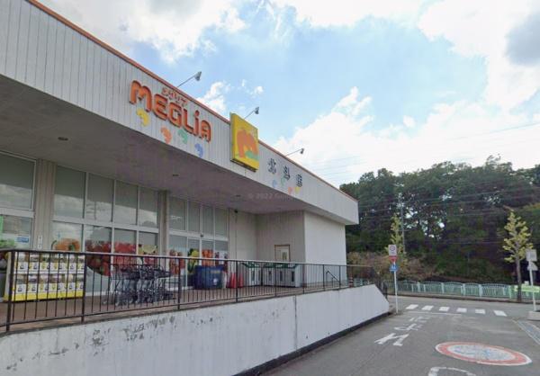 岡崎市細川町字窪地の新築一戸建(メグリア北斗店)