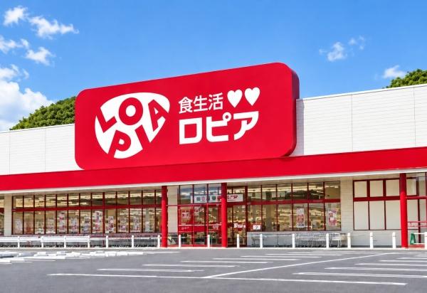 岡崎市欠町の中古一戸建て(ロピア岡崎インター店)
