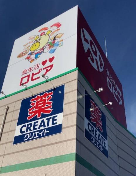 岡崎市丸山町字上地畑の中古一戸建て(ロピア岡崎インター店)