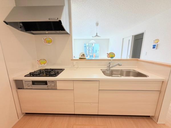 岡崎市中町字東丸根の新築一戸建