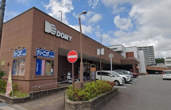 岡崎市大西1丁目の新築一戸建(ドミー竜美丘店)