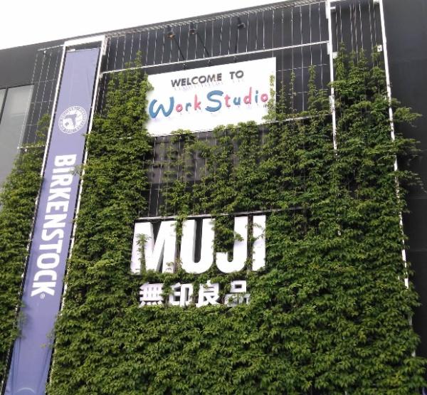 岡崎市大西１丁目の新築一戸建(無印良品岡崎竜美丘店)
