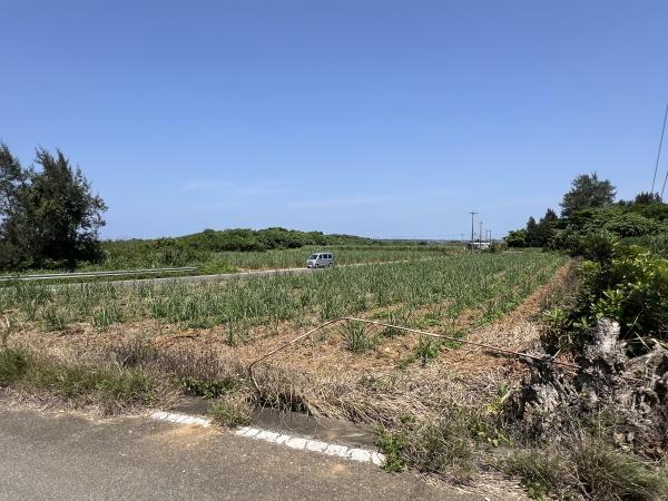 【土地】城辺福里団地近く　約224坪　原野