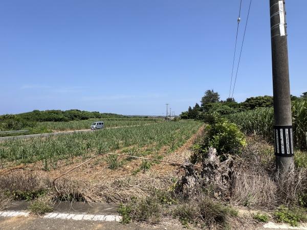 宮古島市城辺字福里の土地