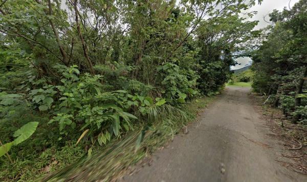 石垣市字野底の土地