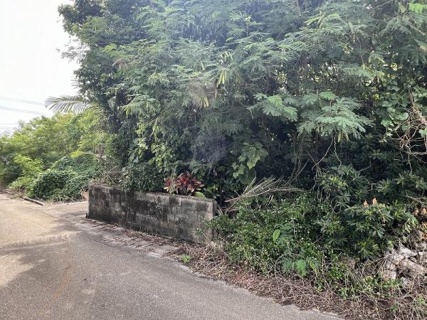 【土地】下地川満漁港近くの集落内の宅地　約90坪　古屋跡あり