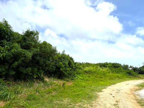 宮古島市平良字荷川取の土地