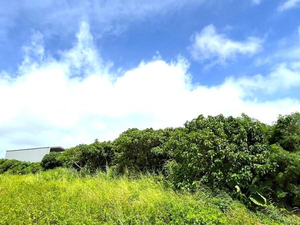 宮古島市平良字荷川取の土地