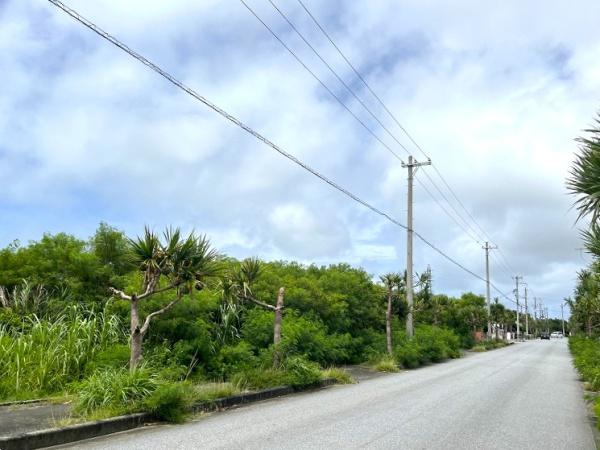 【土地】平良荷川取漁港へ続く通り沿い　約2,113坪　畑