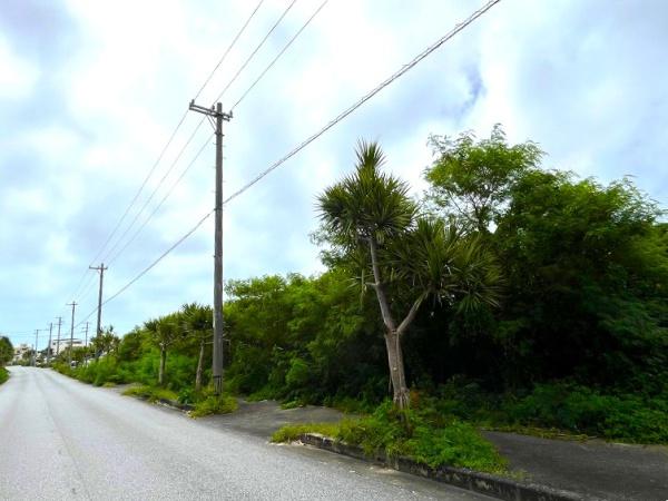 【土地】平良荷川取漁港へ続く通り沿い　約2,113坪　畑