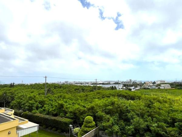 【土地】平良荷川取漁港へ続く通り沿い　約2,113坪　畑