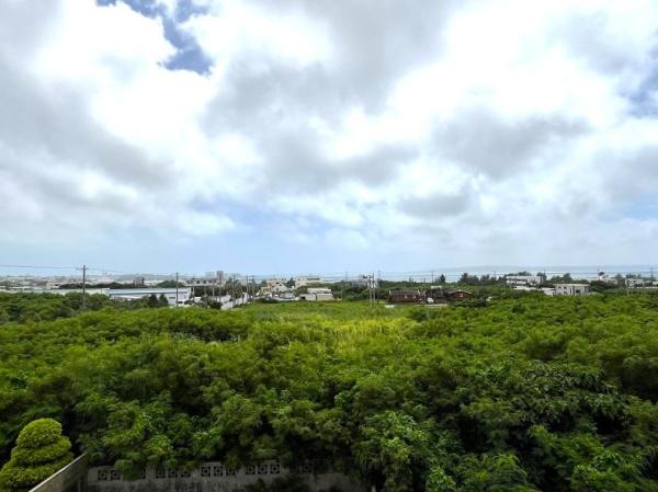 【土地】平良荷川取漁港へ続く通り沿い　約2,113坪　畑