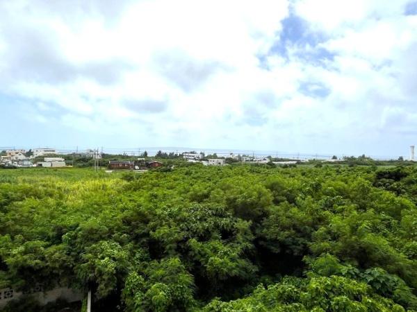 宮古島市平良字荷川取の土地