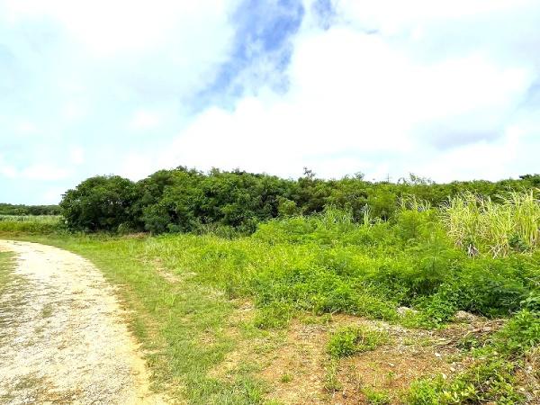 宮古島市平良字荷川取の土地
