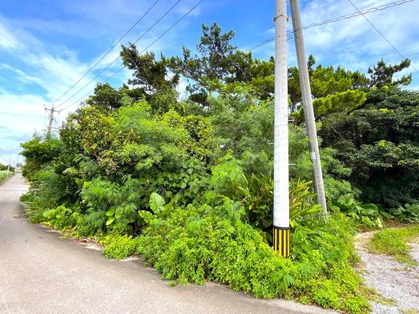【土地】平良西里 野原越地区 739坪 原野