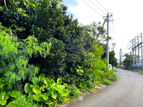 宮古島市平良字西里の土地