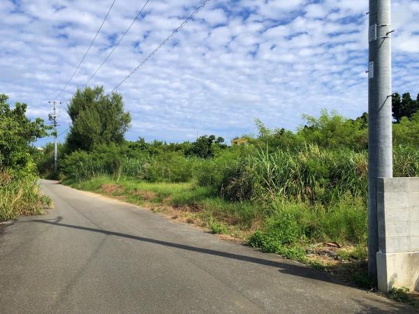 土地　荷川取ホテルが増えつつあるエリア580坪地目：畑