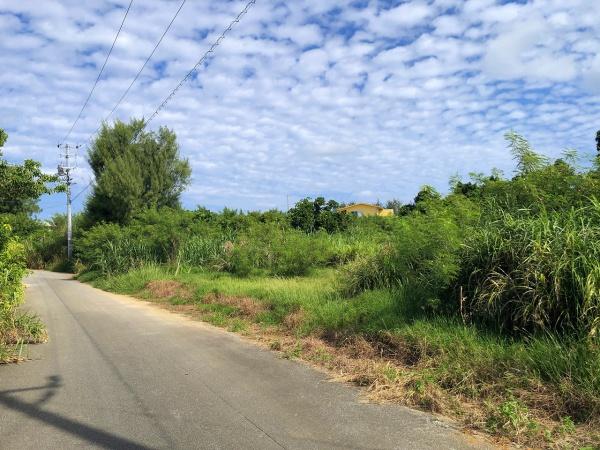 土地　荷川取ホテルが増えつつあるエリア580坪地目：畑