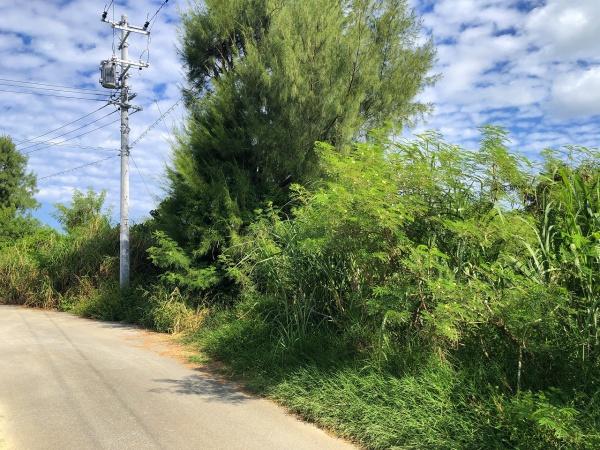 土地　荷川取ホテルが増えつつあるエリア580坪地目：畑