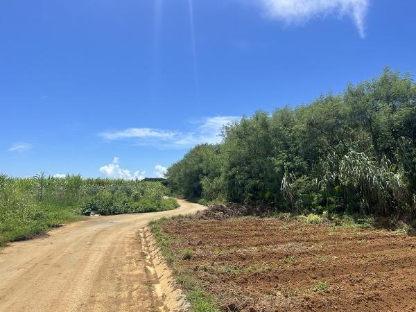 宮古島市下地字与那覇の土地