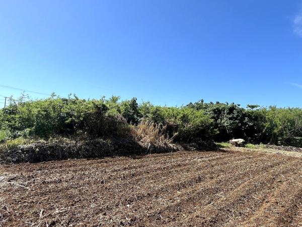宮古島市伊良部字長浜の土地