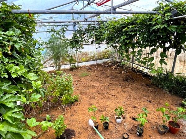 宮古島市上野字宮国の中古一戸建て