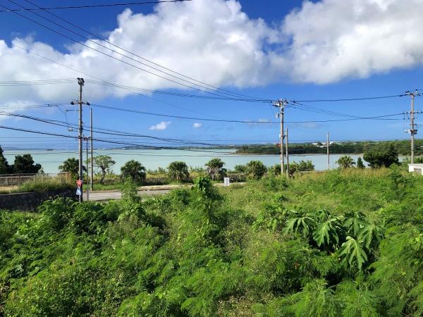 【土地】下地与那覇湾に面した角地　284坪　原野