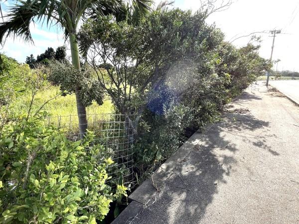 宮古島市平良字東仲宗根添の土地