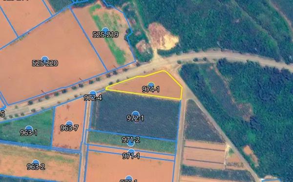 【農地】城辺友利国道沿い　約1.5反　農用地