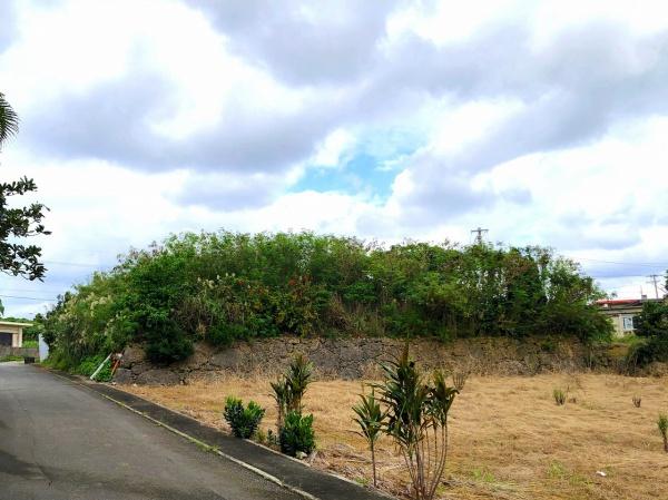 【土地】城辺友利海と夕陽が見える高台　245坪　地目：畑