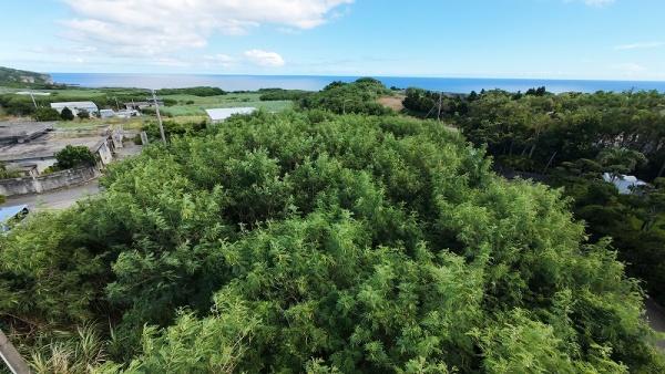 宮古島市城辺字友利の土地