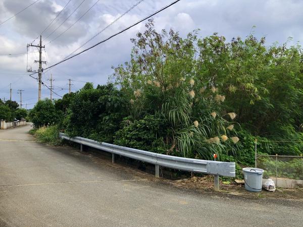 宮古島市城辺字友利の土地