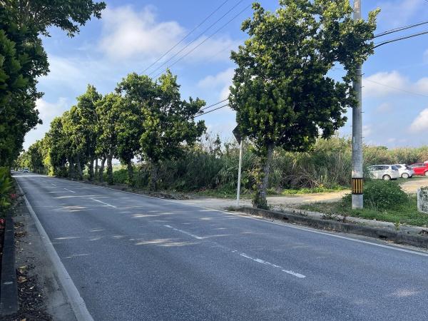 【土地】上野シュレーダー通り沿い約674坪原野