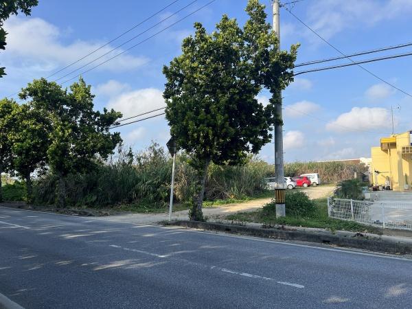 【土地】上野シュレーダー通り沿い約674坪原野