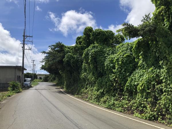 宮古島市平良字西里の土地