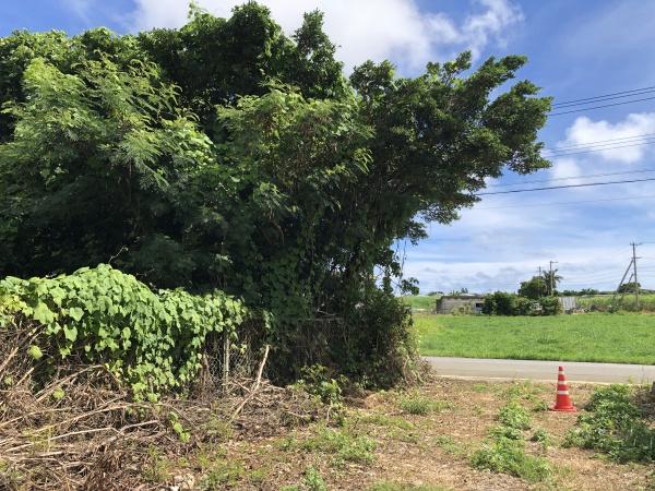 宮古島市平良字西里の土地