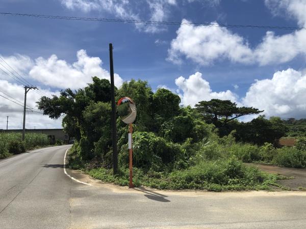 【土地】平良西里　728坪　畑・原野
